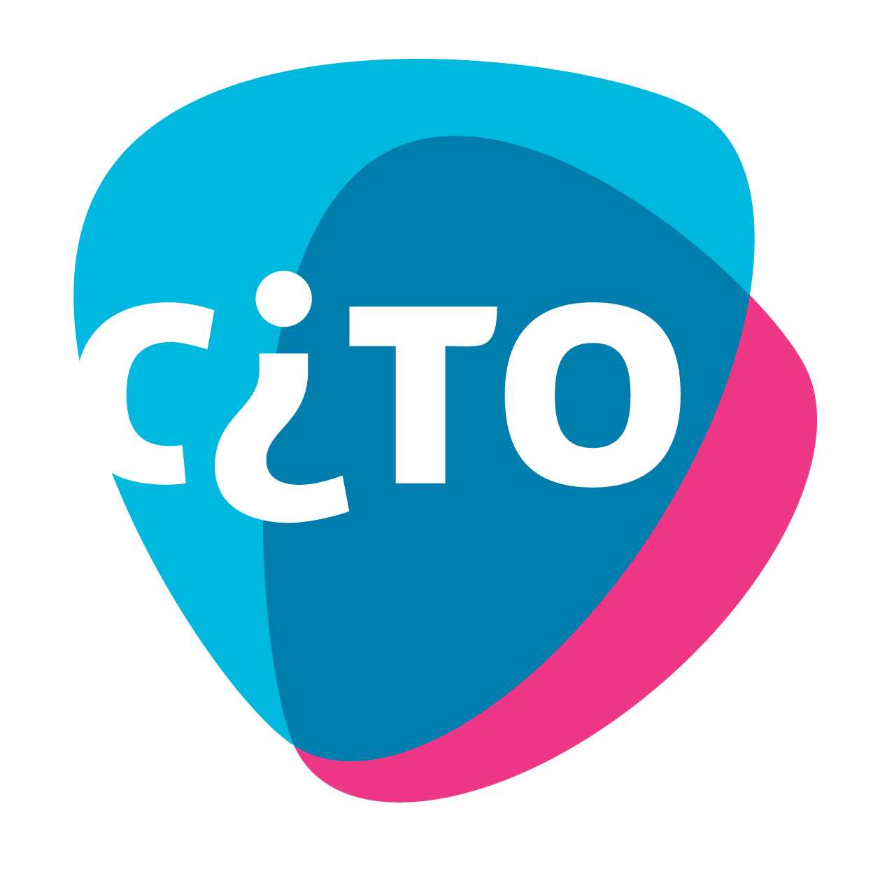 Cito, Instituut voor Toetsontwikkeling